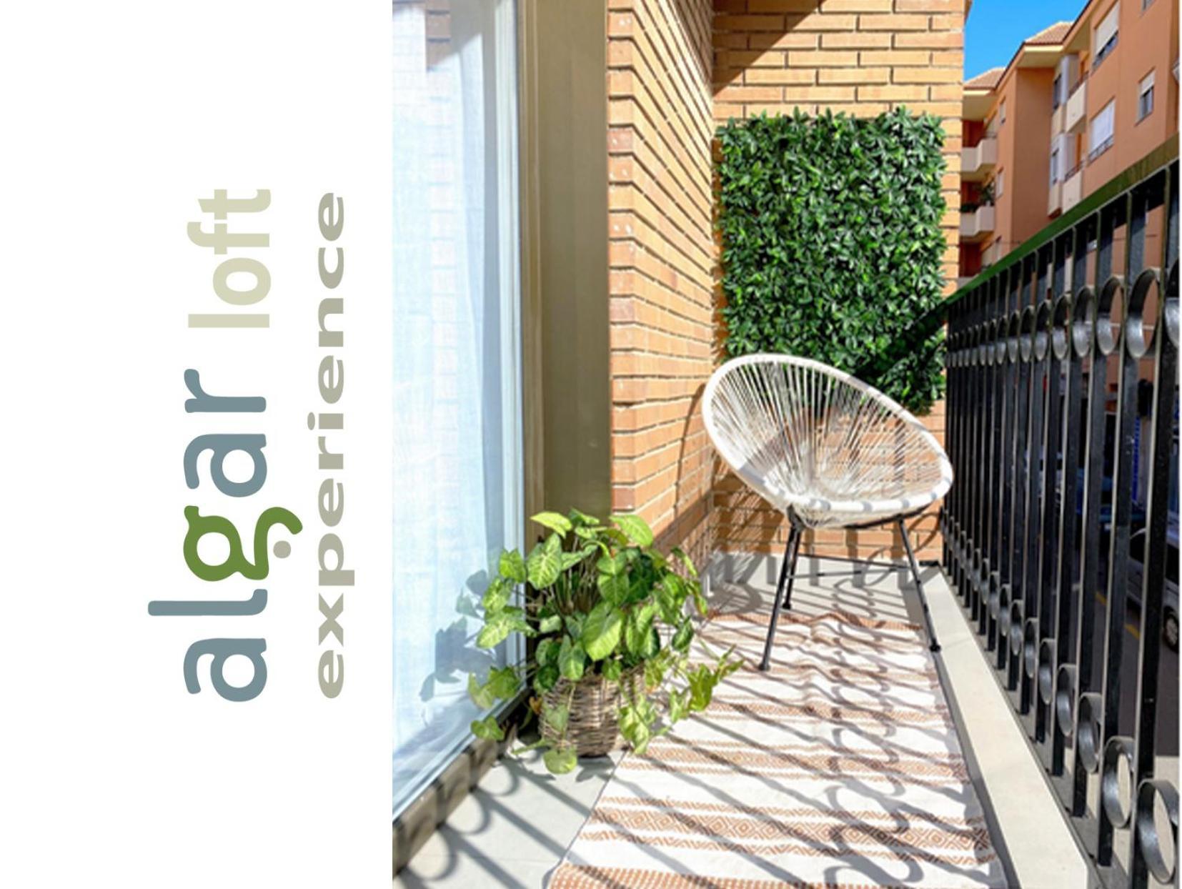 Algar Loft, Diseno Y Climatizacion Lägenhet Callosa de Ensarriá Exteriör bild
